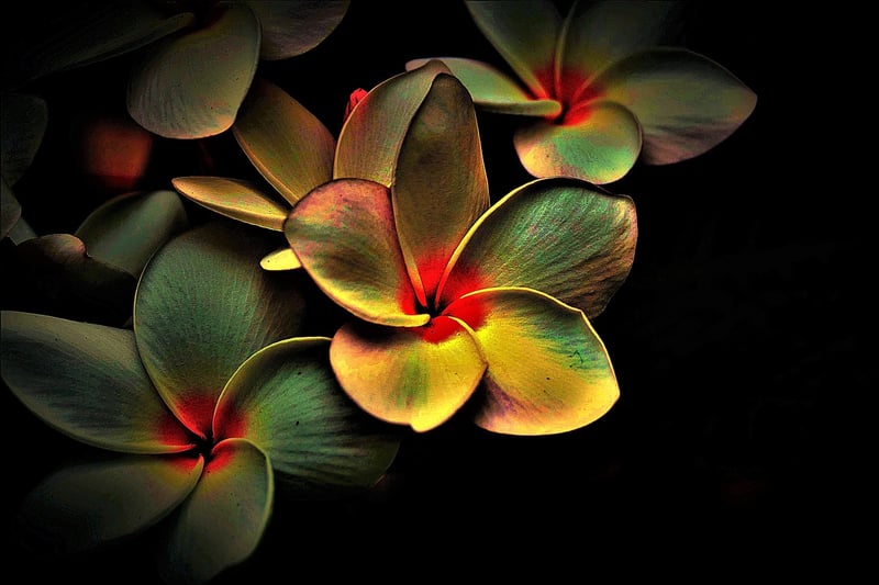 Outdoor lighting art in a garden